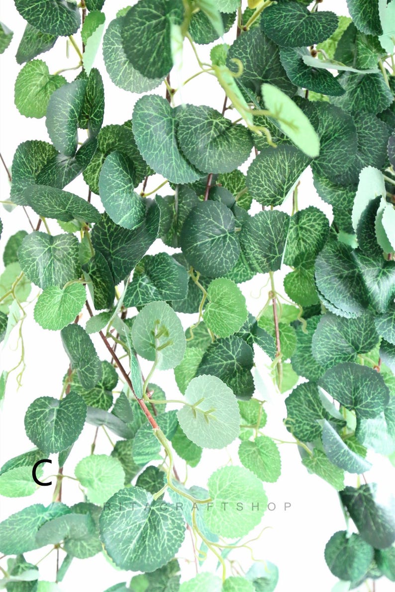May include: A close-up of a green artificial vine with round leaves. The vine is hanging down and the leaves are arranged in a random pattern.