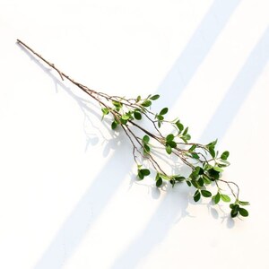 May include: A single stem of artificial greenery with small, green leaves and brown branches. The stem is long and slender, and the leaves are clustered together in groups of three or four.