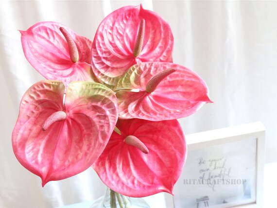 3 Stems Artificial Anthurium Pink Real Touch Fake Tropical Flower Burgundy  White Leaves Plant Decor Wedding Bouquet Flower Arrangement - Etsy