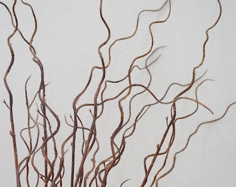 May include: A bunch of brown, curly willow branches against a white background.