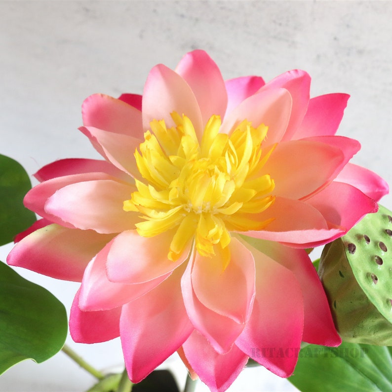 Artificial Lotus White Flower Faux Tropical Plants Stems