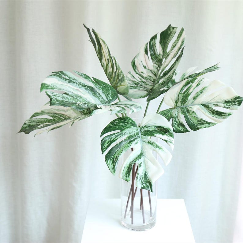 Op de afbeelding: Een boeket kunstmatige bonte monstera bladeren in een transparante glazen vaas. De bladeren zijn een mix van wit en groen.