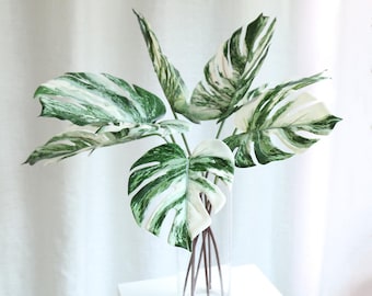 3 stems Artificial Monstera variegated White tiger albo Leaves Faux Tropical Plants Stem Fake Flower Arrangement Centerpiece Home Decor Arch