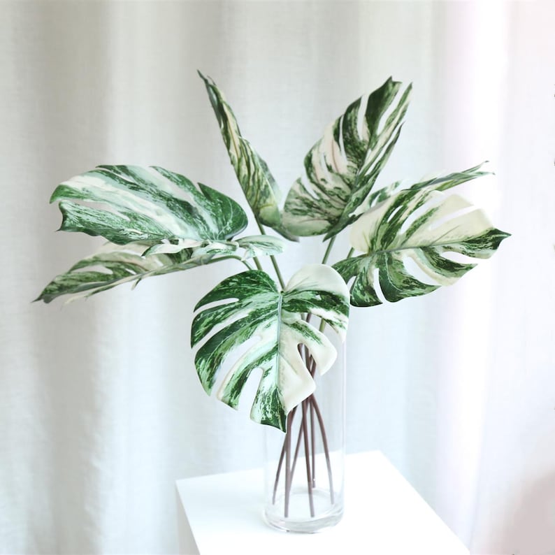 Op de afbeelding: Een boeket kunstmatige bonte monstera bladeren in een transparante glazen vaas. De bladeren zijn een mix van wit en groen.