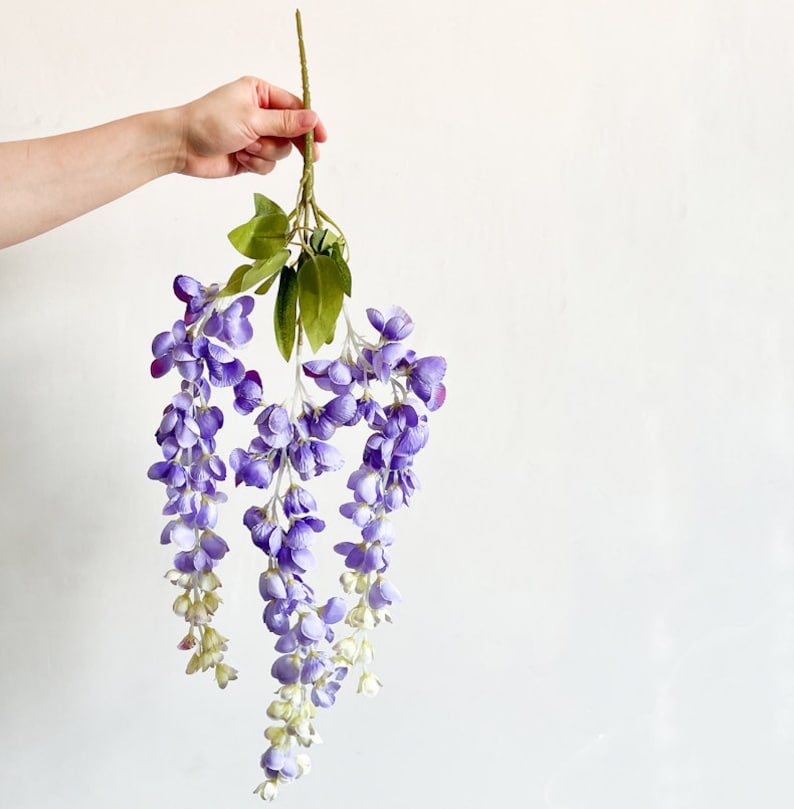 Pu&ograve; includere: Una ghirlanda di fiori di glicine viola con foglie verdi. La ghirlanda &egrave; appesa a una mano.