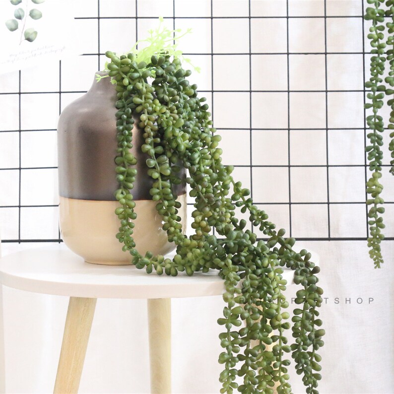 Artificial String Of Pearls Fake Succulents Faux Senecio Etsy