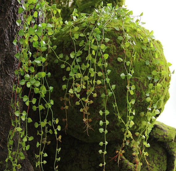 Mini foglie pendenti artificiali finto edera di Boston foglie rampicanti  finte pianta tropicale verde da tavolo scaffale ufficio negozio decorazione  della parete -  Italia