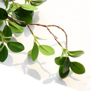 May include: A branch of artificial greenery with small, oval-shaped leaves. The leaves are a vibrant green color and the branch is brown.