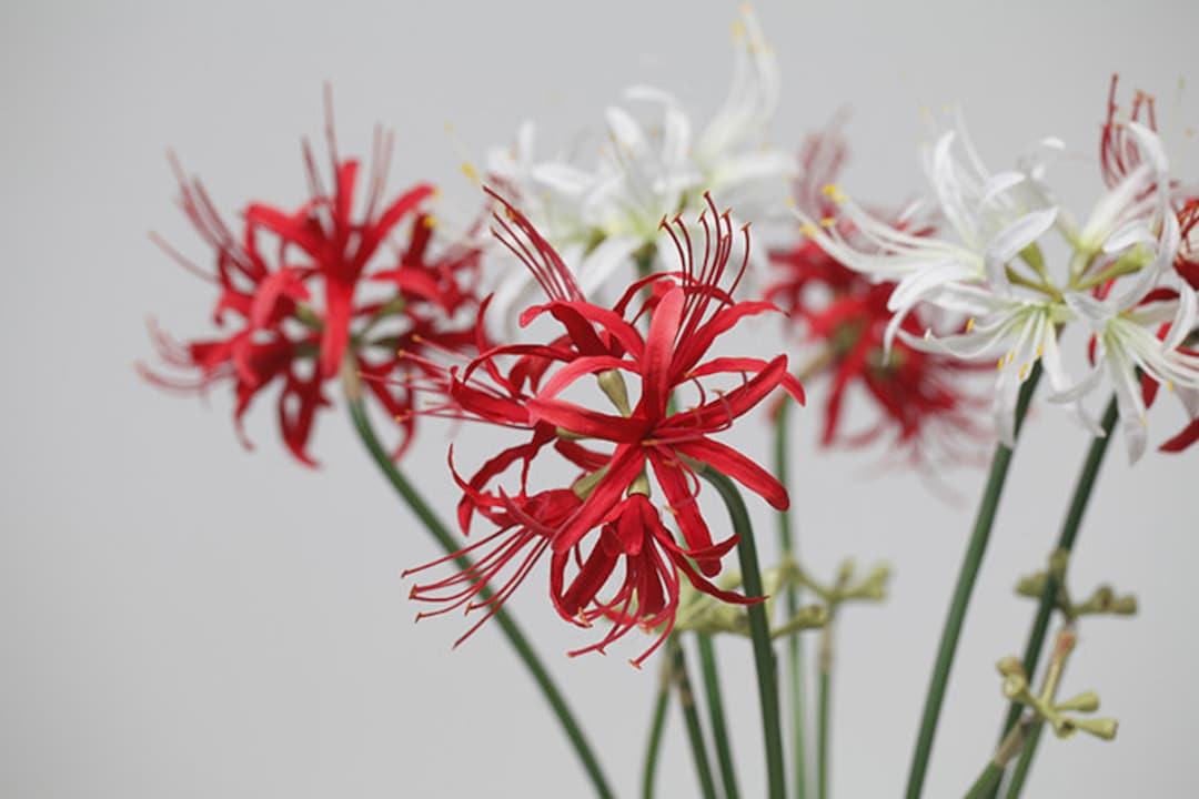 Real Touch Red Spider Lily Artificial Red Yellow Flower Faux