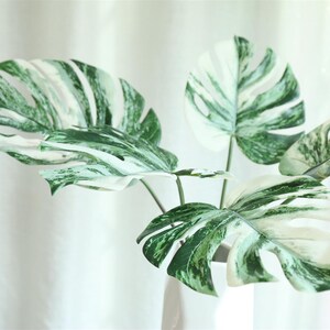 Op de afbeelding: Een boeket van kunstmatige witte en groene bonte monstera bladeren.