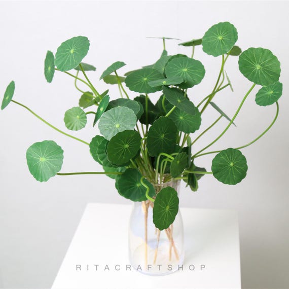 3 Pcs Artificial Pilea Peperomioides Money Plant Silver Dollar Fake  Greenery Aquatic Plants Home Decor Flower Arrangement - Etsy