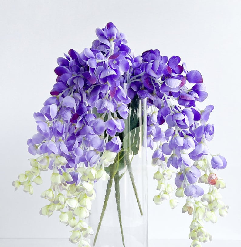 Pu&ograve; includere: Un mazzo di fiori di glicine viola e bianchi in un vaso di vetro trasparente. I fiori sono disposti a cascata, con i fiori viola che pendono dal vaso.