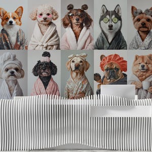 May include: A decorative wall art piece featuring nine dog portraits, each dressed in spa attire. The dogs, of various breeds, are depicted in robes, towels, and headwear. The artwork is displayed above a white, vertically-slatted reception desk.