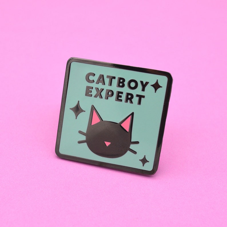 Catboy Expert Hard Enamel Pin - Etsy