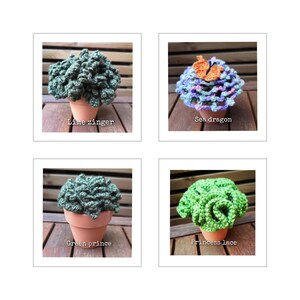 Häkelanleitungspaket für vier sukkulente Topfpflanzen - Sea Dragon, Lime Zinger, Green Prince, Princess Lace