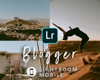 Lightroom Mobile Presets: Blogger Photo Filter Pack (20)