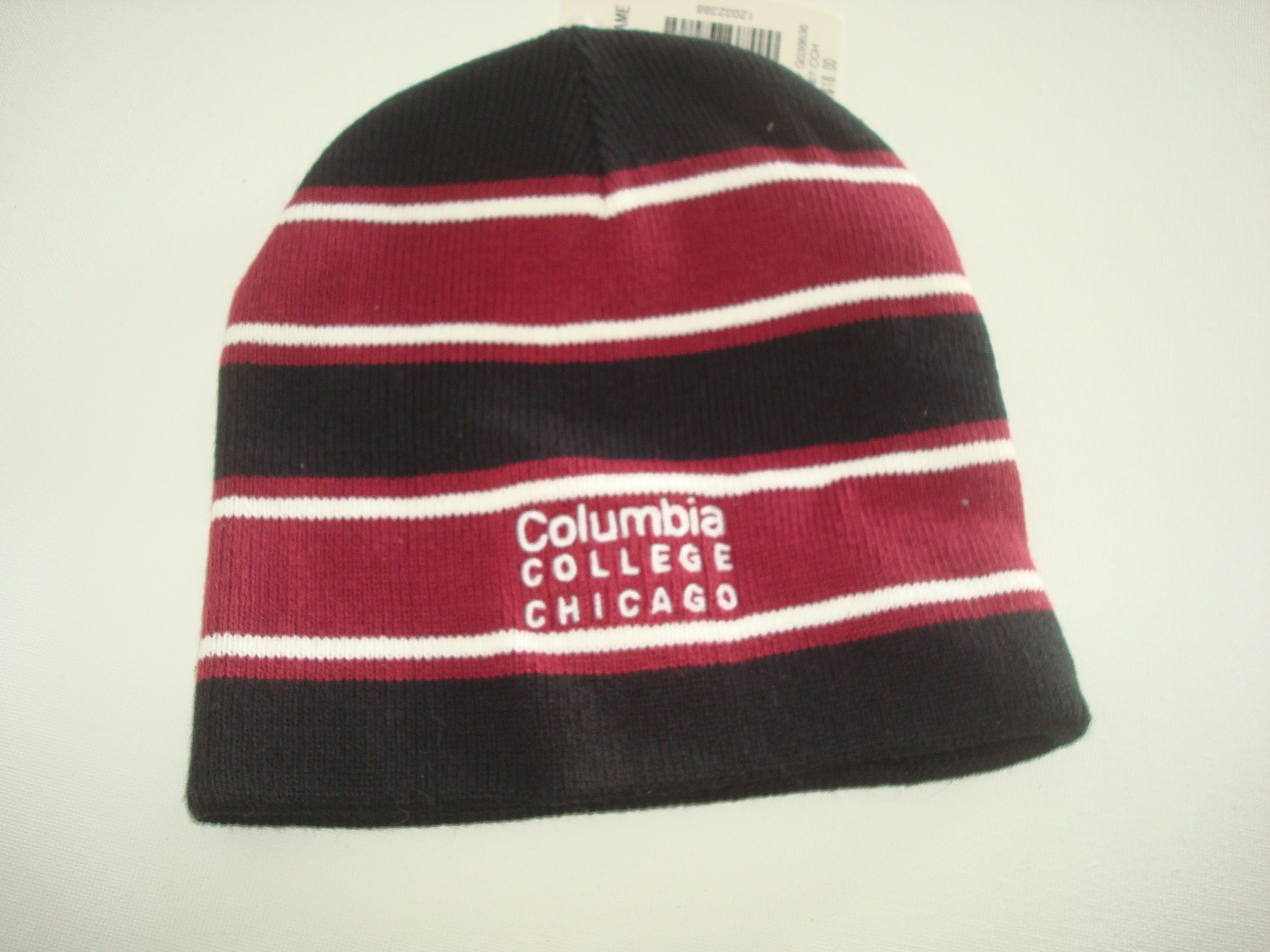 COLUMBIA COLLGE CHICAGO Skull Beanie 