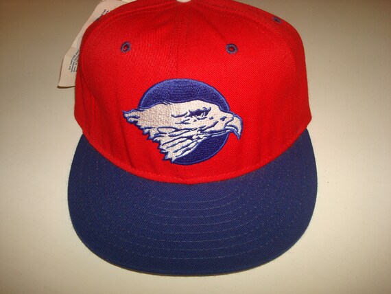 Fitted 1995 Vintage Hat 90s Hat - Etsy 