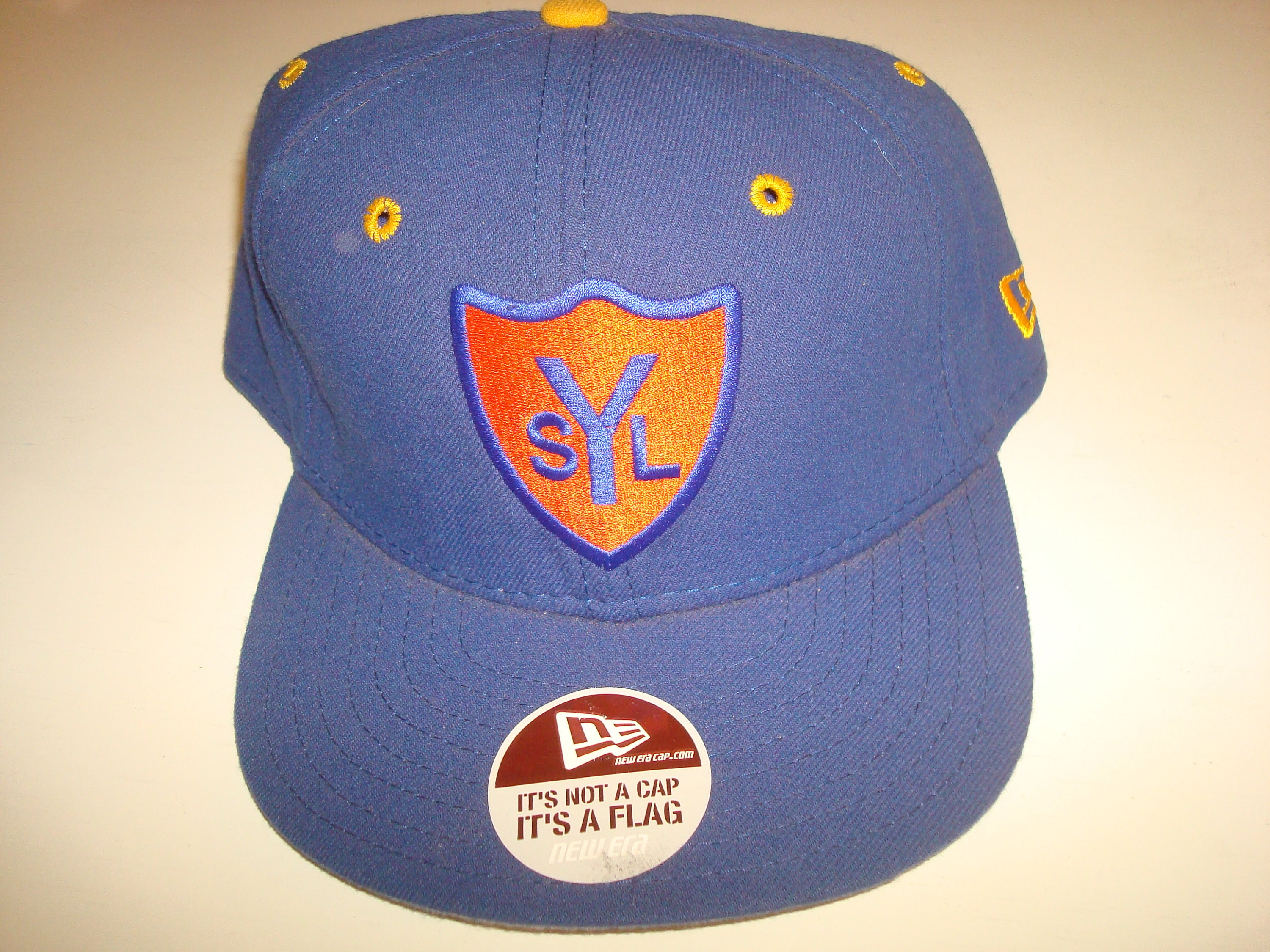 MINOR LEAGUE BASEBALL Pro Line Fitted 1995 Vintage Hat 90s Hat Cap Size