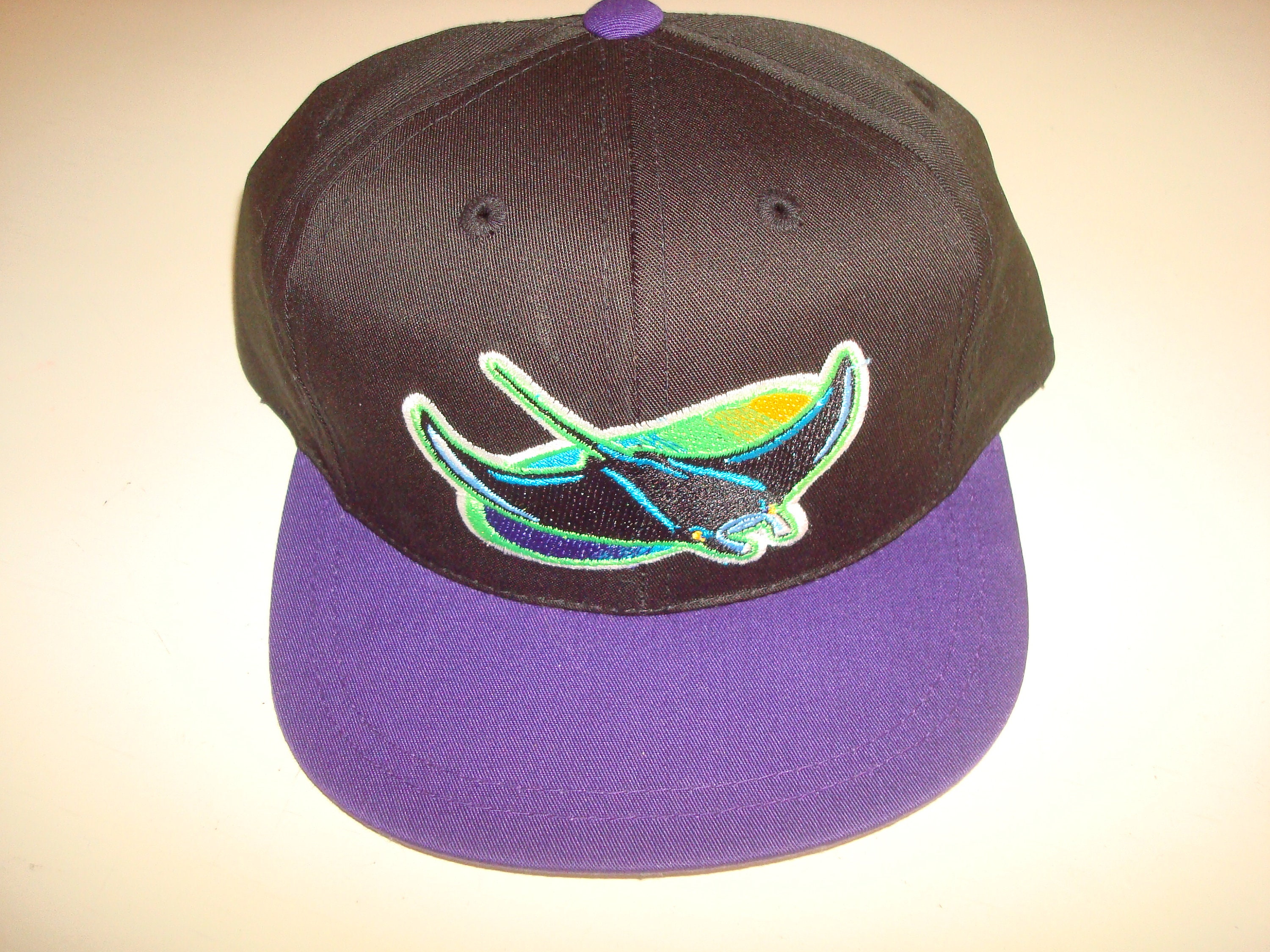 TAMPA BAY Devil Rays Twins Youth 