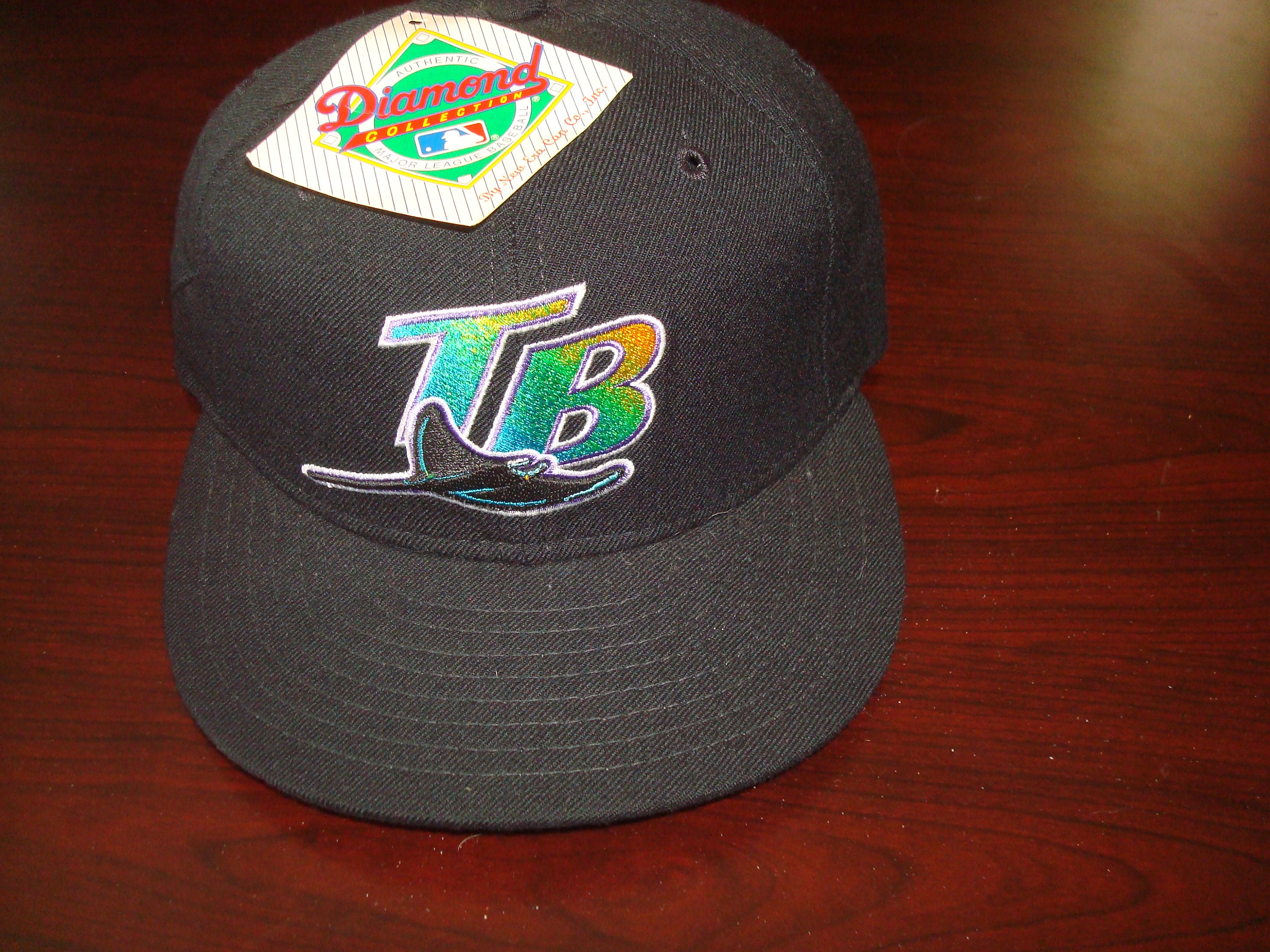 Vintage Tampa Bay Devil Rays Snapback Hat Cap MLB 90s Snap Back World Series TB Baseball