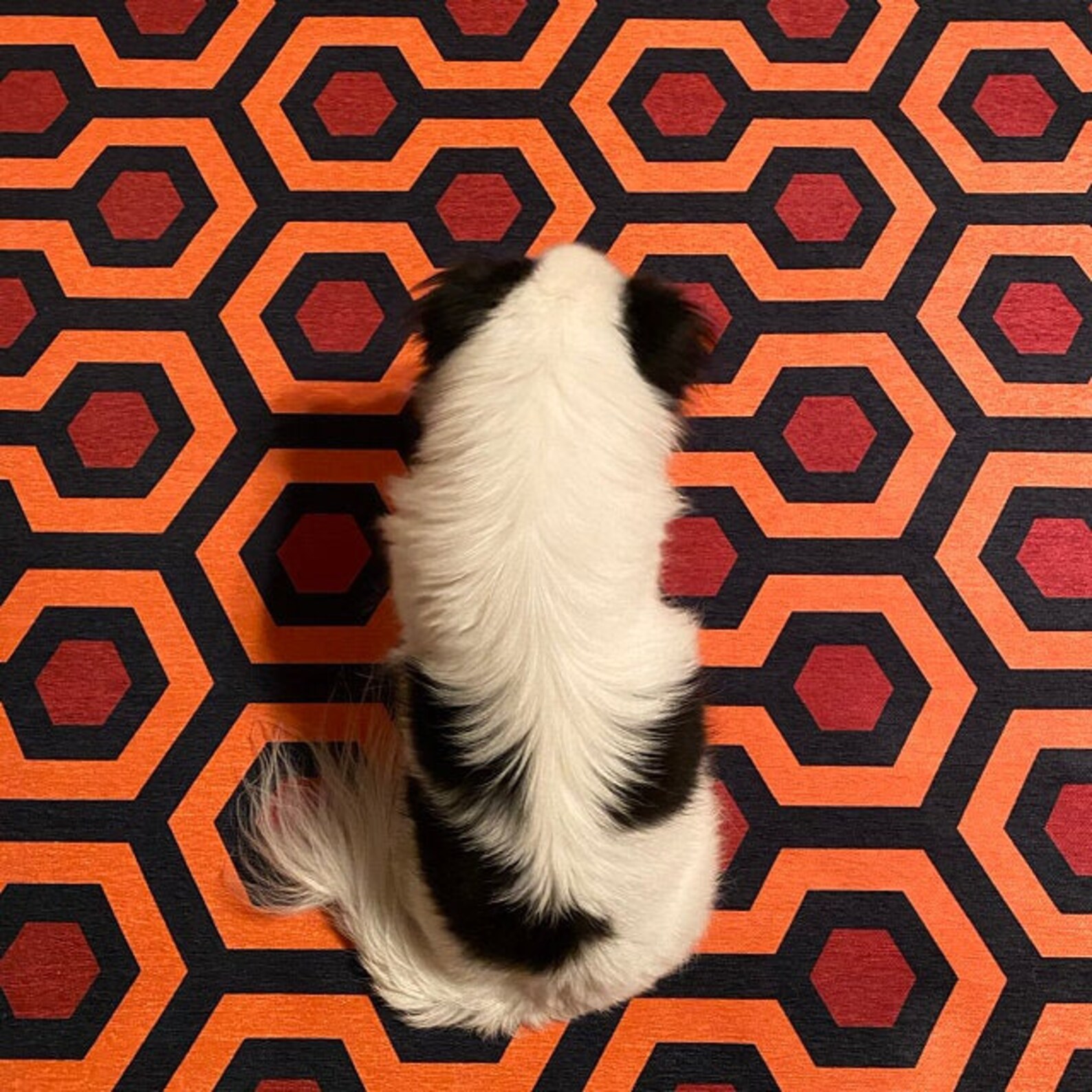 Overlook Hotel Carpet Pattern Area Rug the Shining Etsy