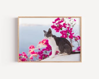 Santorini Greece Cats Digital Photography Print | Mediterranean Coastal Wall Art | Greek Island Travel Poster