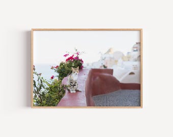 Santorini Greece Cats Digital Photography Print | Mediterranean Coastal Wall Art | Greek Island Travel Poster