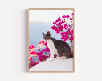 Santorini Greece Cats Digital Photography Print | Mediterranean Coastal Wall Art | Greek Island Travel Poster