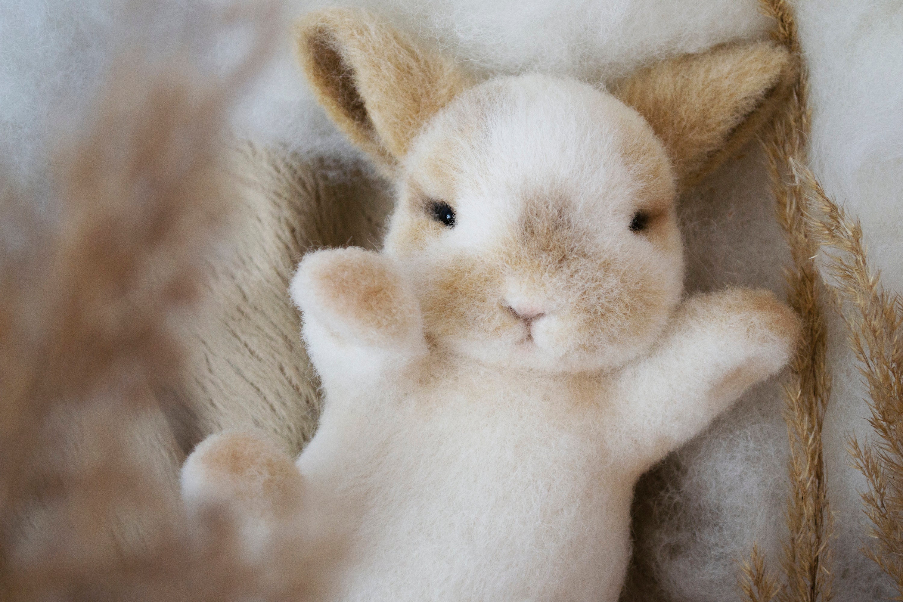 Needle Felted Realistic White Bunny - Etsy