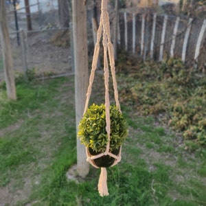Macrame Plant Hanger - Different Sizes Available - Perfect Plant Holder for Outdoors or Indoors