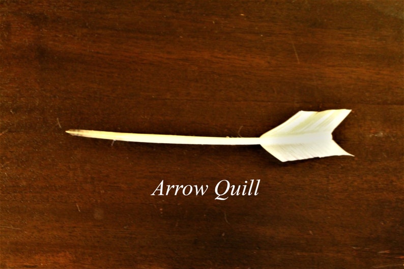 Handcut Quill Pen 18th Century Reproduction Etsy