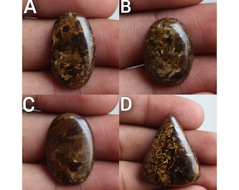 Natural Bronzite Cabochon, Oval and Pear Shape (18-30 mm)