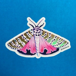 Bella Moth Vinyl Sticker