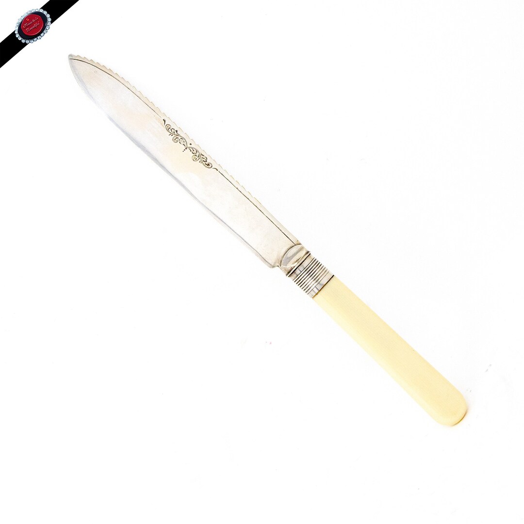 Antique Silver Plated Cake Knife Celluloid Ivory Coloured Etsy