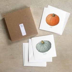 Kürbisse: Cards Box Set / Grußkarten / Flache Karten / Aquarell Illustration / Geschenke / Geschenkboxen / Gemüse / Kürbis / Winterkürbis