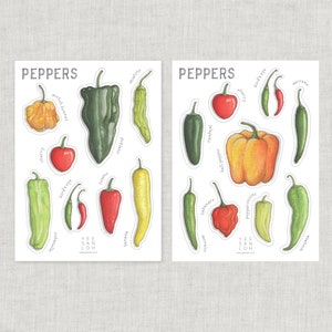 Autocollants | Chili Pepper / Scrapbooking / Arts et artisanat / Chilis / Peppers / Bell / Jalapeno / Fresno / Habanero / Cerise / Scotch Bonnet