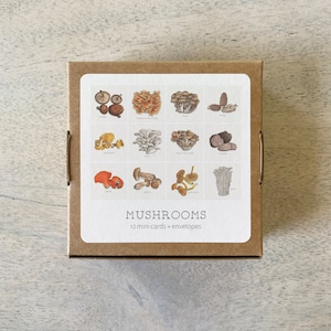 Mushrooms: Mini Cards Box Set / Gift Tags / Watercolor Illustration / Tiny Messages / Party Favors / Stocking Stuffers / Gifts / Mushroom image 8