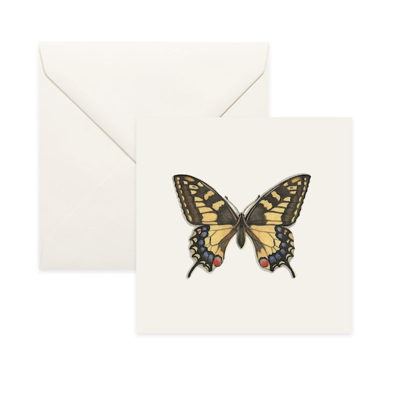 Common Opal Notecard Thank You Card Message Card Birthday Card Nature Illustration Butterfly Insect Insects Butterflies