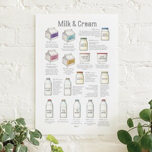 Milk + Cream: Poster / Food / Dairy / Food & Cooking / Illustrations / Art Print / Home Decor / Culinary Reference / Skim / Heavy / Clotted