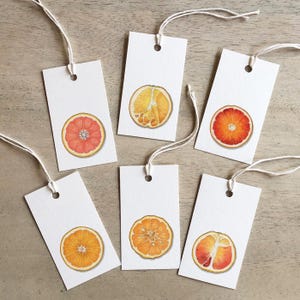 Naranjas: Etiquetas de regalo / Cumpleaños / Aniversario / Recuerdos de fiesta / Fruta / Cítricos / Naranja / Navel / Cara Cara / Sangre / Valencia