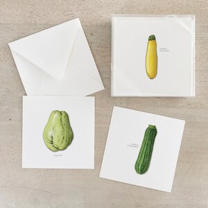 Summer Squash: Box Set Cards