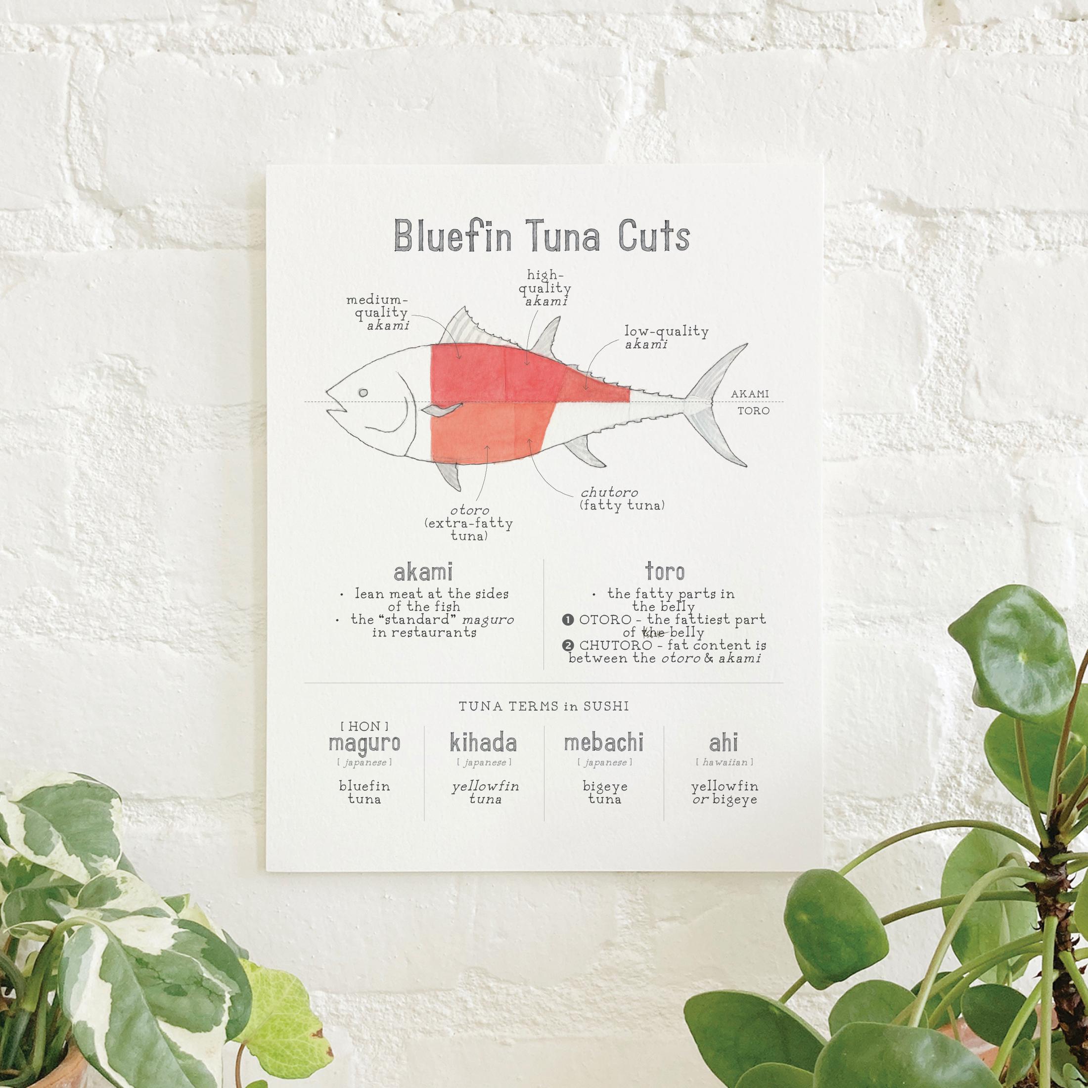 Bluefin Tuna Cuts: 8.5 X 11 Art Print - Etsy