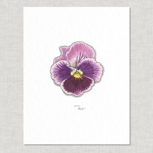 Edible Flowers (2 of 3): 8.5 x 11 Art Print / Watercolor Illustration /  Home Decor / Flower / Flora / Food & Cooking / Lavender / Viola