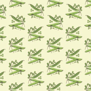 Vegetables: Gift Wrap Paper (13x19 sheet) / Birthday / Parties / Anniversary / Holidays / Vegetable / Radish Peas / Ramps / Chard