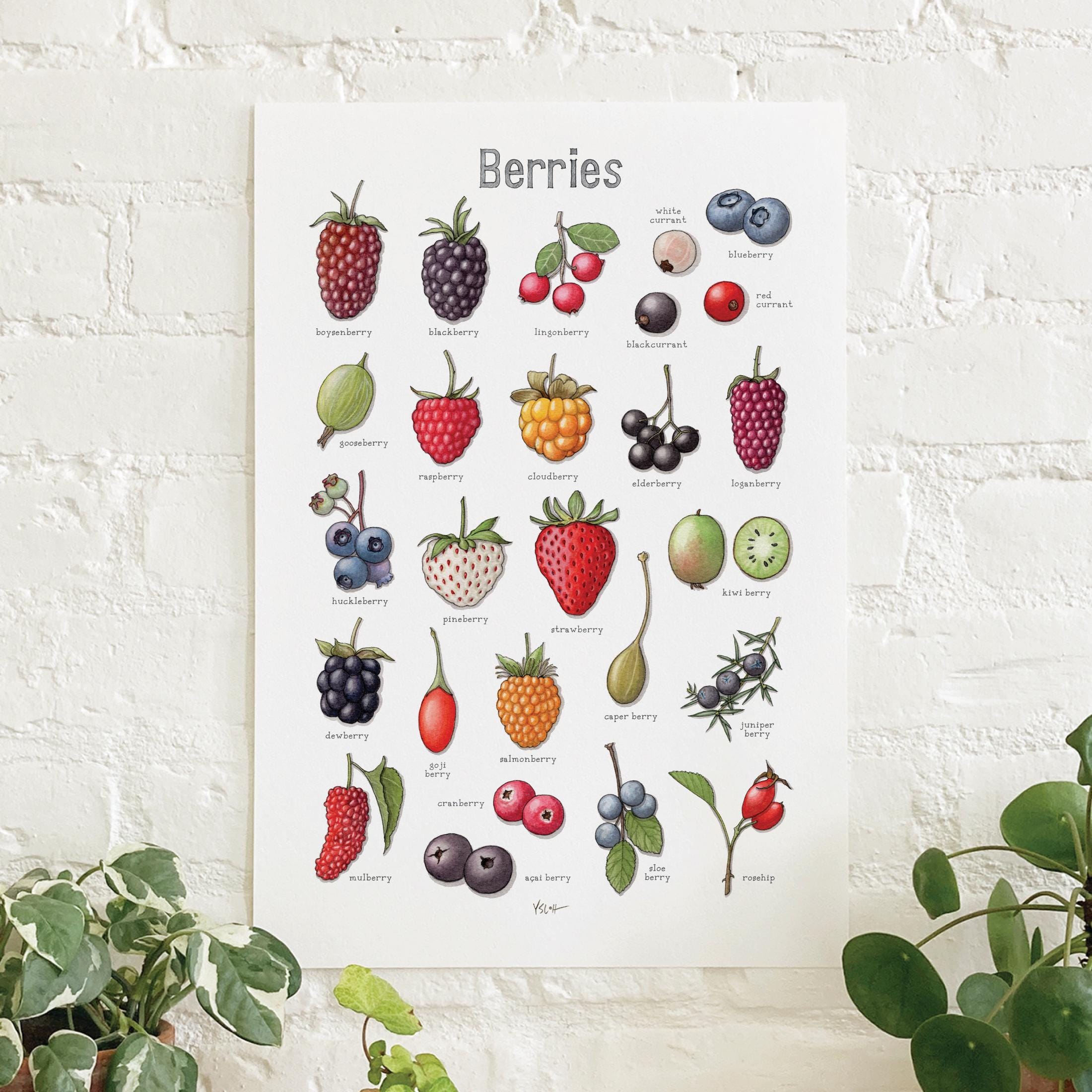 画材 berry NEW_Snozz_Rebrand_RENDER_1oz_B