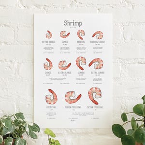 Tamaños de camarones: Póster / Mariscos / Comida / Cocina / Ilustraciones / Impresión artística / Decoración del hogar / Culinario / Crustáceos / Langostinos / Blancos / Manchados