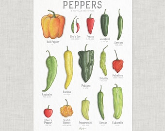 Chile Peppers / Poster / Food / Vegetables / Fruit / Illustrations / Art Print / Home Decor