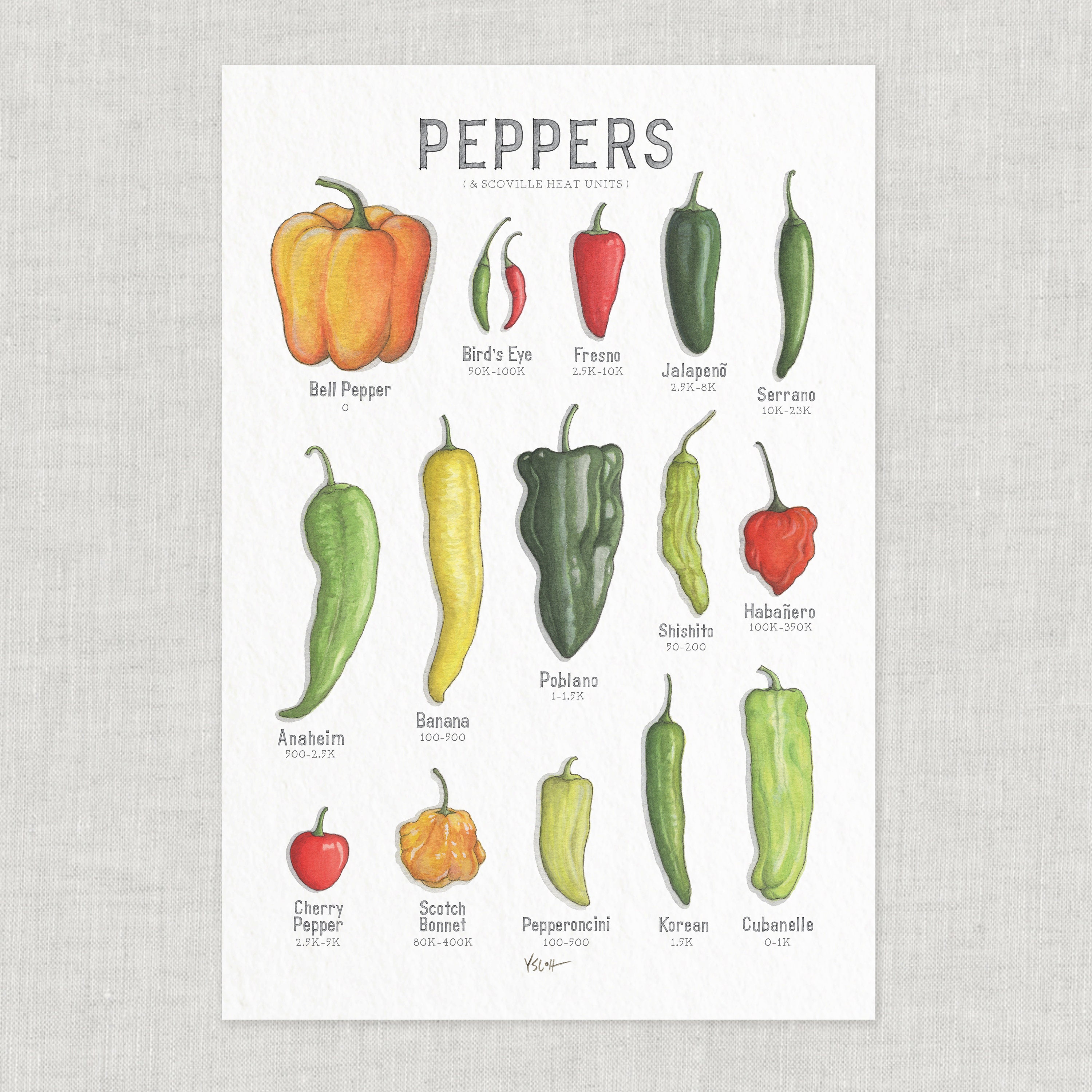 Scoville Scale Poster Art Pepper Wall Art Chart Framed Print Canvas Food  Diagram Painting Knowledge Picture Decorations Peppers Ranked Vintage  Kitchen