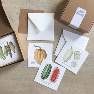 Planta una semilla: Caja con minitarjetas / Etiquetas para regalos / Ilustración en acuarela / Mensajes diminutos / Regalos para fiestas / Regalos para calcetines / Cestas de regalo